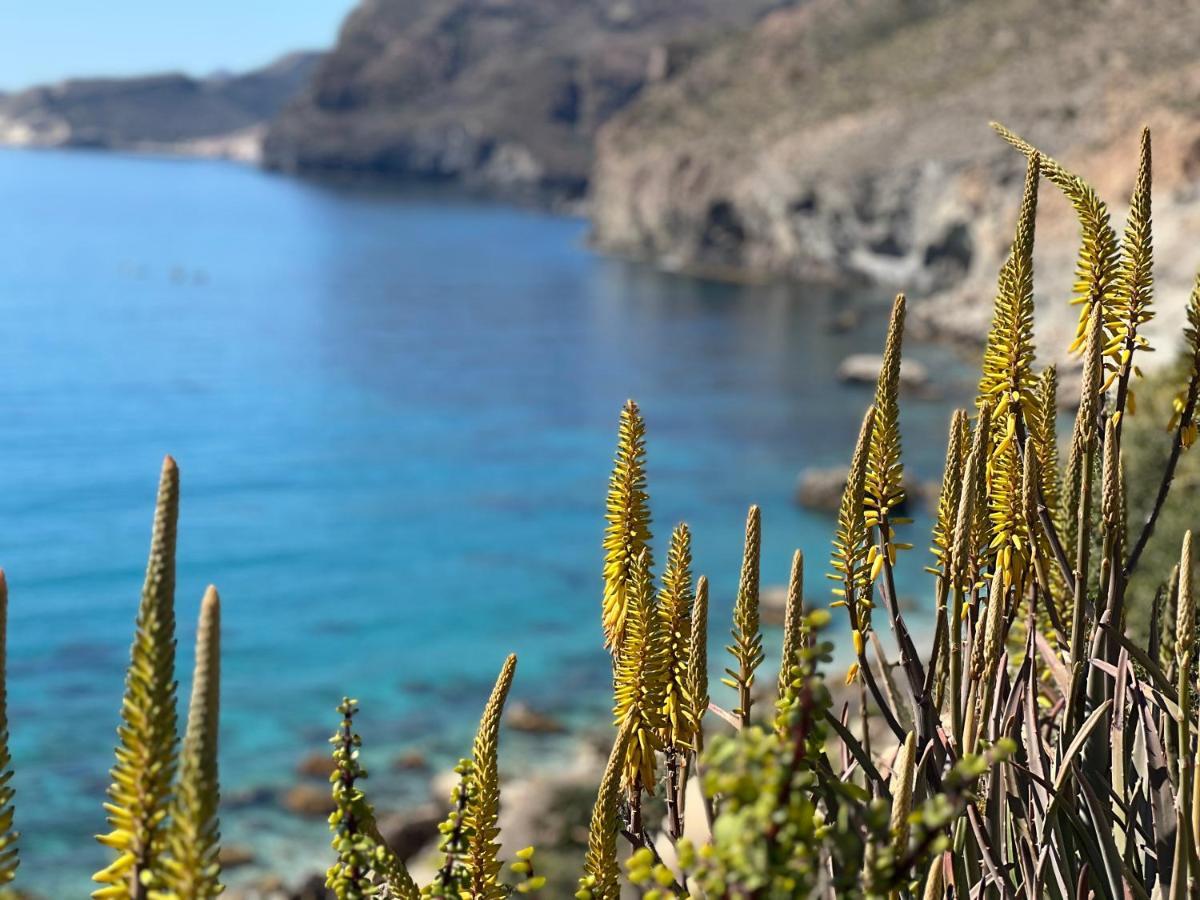 Apartamento De 3 Dormitorios A 60 M De La Playa En La Isleta, Cabo De Gata 拉伊斯莱塔德尔摩洛 外观 照片